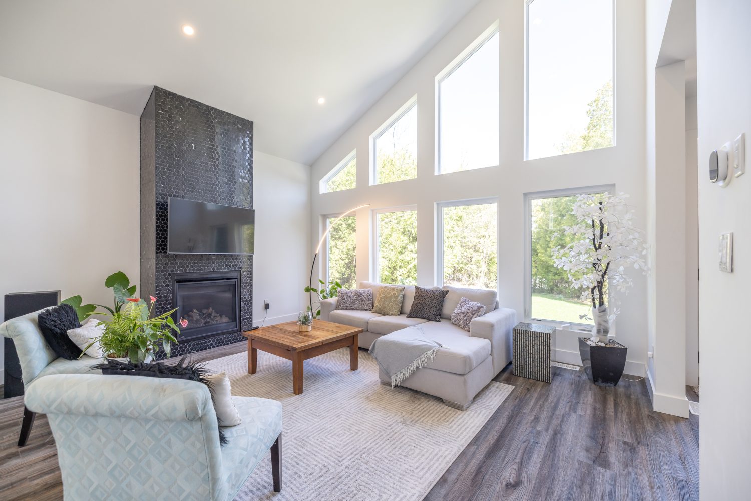 Guelph Professional Photography